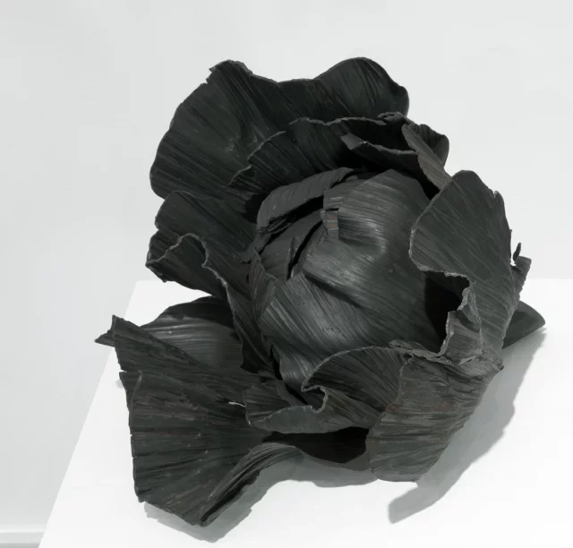 zanoni_04_web.jpg